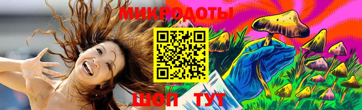 Псилоцибиновые грибы MAGIC MUSHROOMS  Вход с VPN  Белгород 