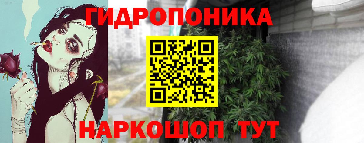 Бошки марихуана White Widow  Канабис план  Белгород  Вход с VPN  Бошки марихуана LSD WEED 